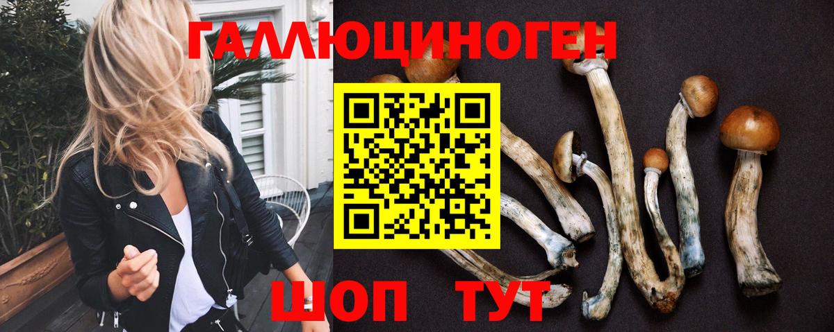 купить закладку  Галлюциногенные грибы мухоморы  Котельники  Вход с VPN  Псилоцибиновые грибы Cubensis 